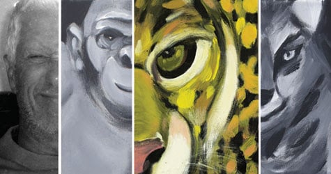 Daniele Nannini - Animal Portraits